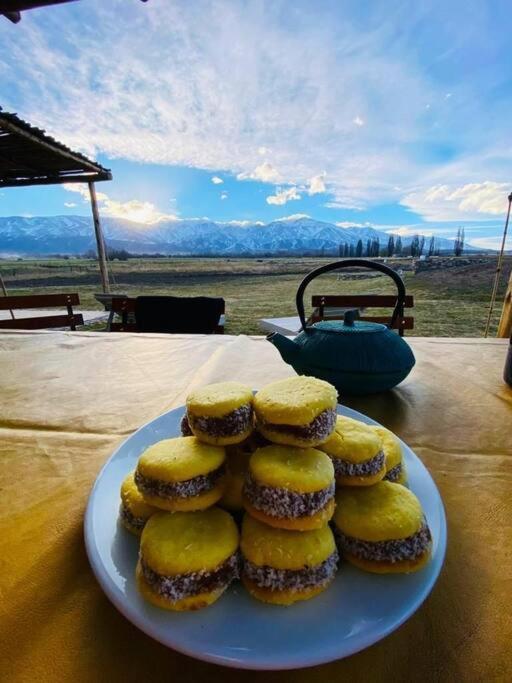 La Carrera Villas, Atamisque. Tupungato, Mendoza. Lujan de Cuyo Ngoại thất bức ảnh