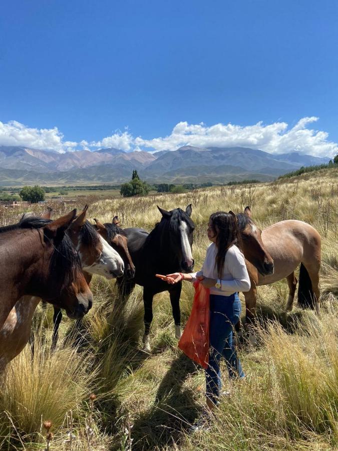 La Carrera Villas, Atamisque. Tupungato, Mendoza. Lujan de Cuyo Ngoại thất bức ảnh